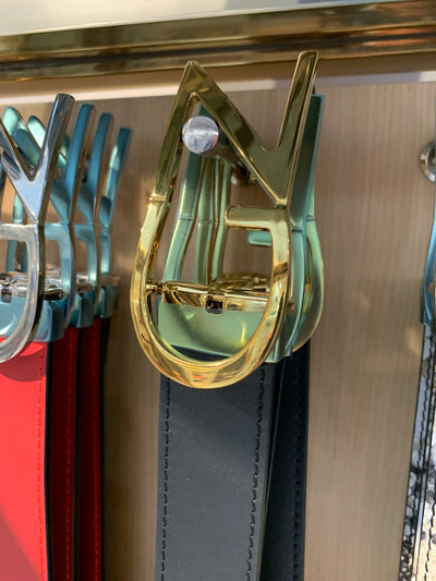 Giuseppe Zanotti Belt - GZ Gold Buckle